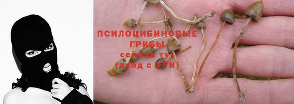 первитин Михайловск