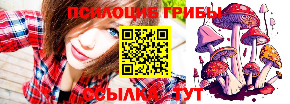 Галлюциногенные грибы ЛСД  где купить наркоту  Калининград  Вход с VPN 