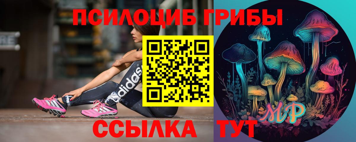 Галлюциногенные грибы мицелий Калининград