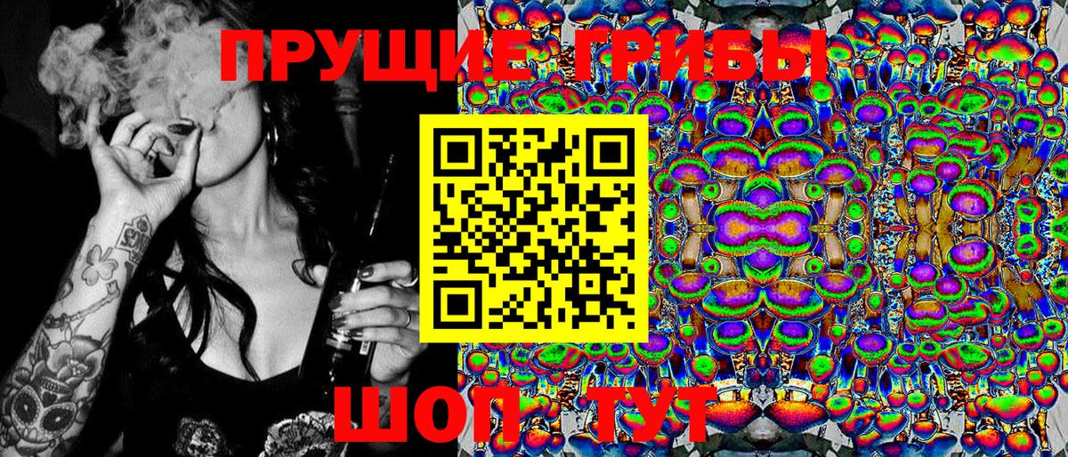 Псилоцибиновые грибы мухоморы Калининград